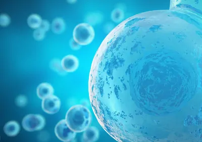 Single Cell Sequencing in a Nutshell